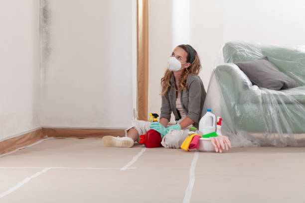 Reliable Mold Cleanup contractor in Newton, IL by Cheap Mold Removal
